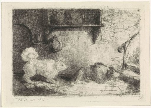Two Dogs