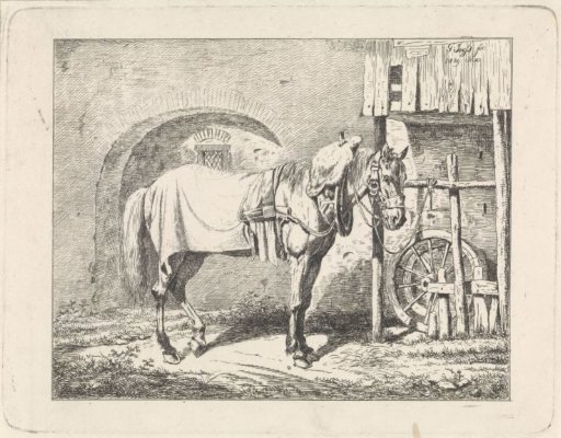 Harnessed Horse on a Lead