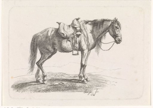 Saddled Horse