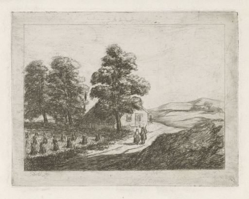 Hilly landscape