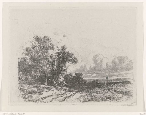 Country road with trees on the left