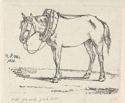 Harnessed horse