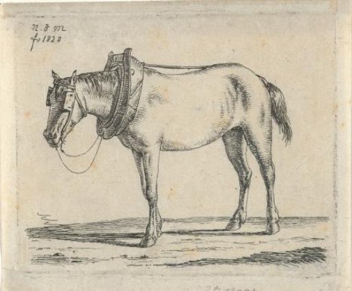 Draft horse