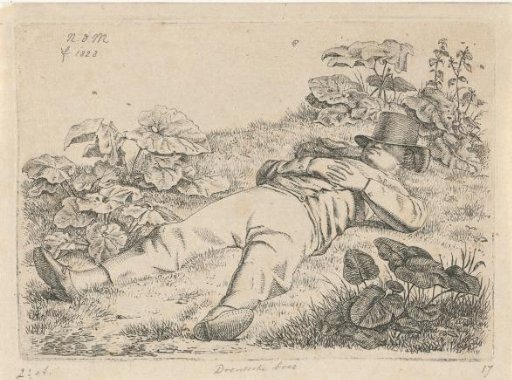 Reclining man in the grass