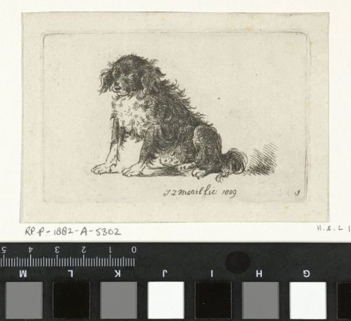 Seated dog