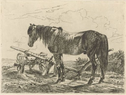 Horse by a plough
