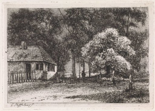House among trees
