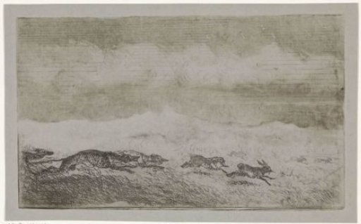 Hare hunt