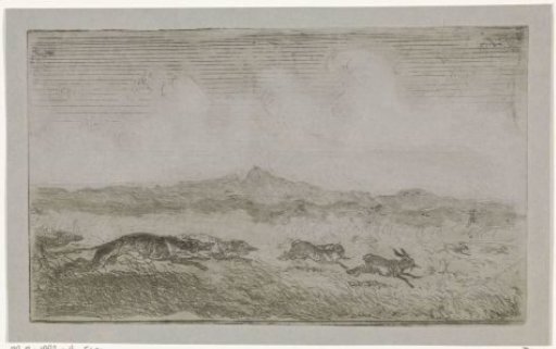 Hare hunt