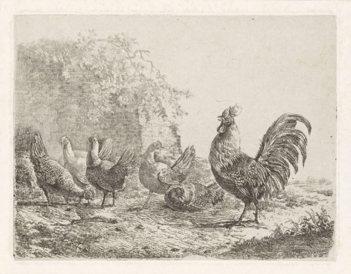Rooster with Five Hens