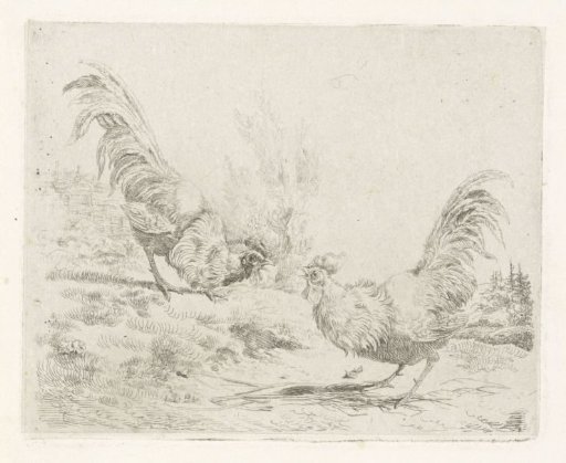 Two Fighting Roosters