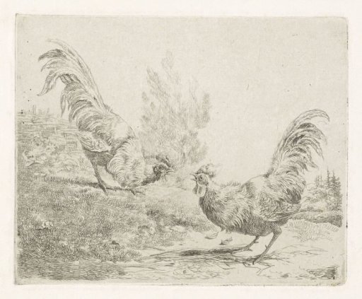 Two Fighting Roosters