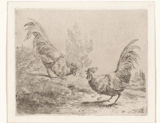Two Fighting Roosters