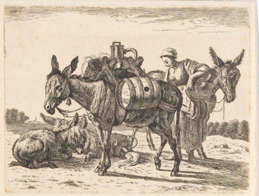 Pack mules
