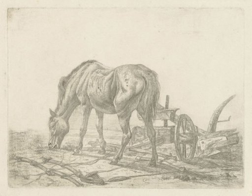 Unharnessed horse by a plough