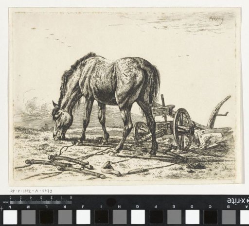 Grazing horse near a plough
