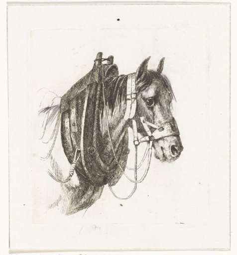 Horse's head with bridle, harness and saddle