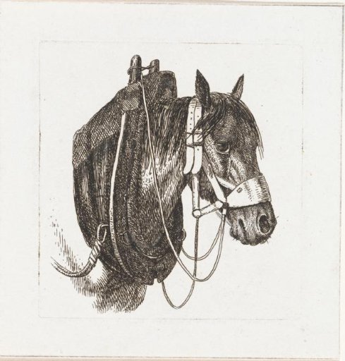 Horse's head with bridle and harness