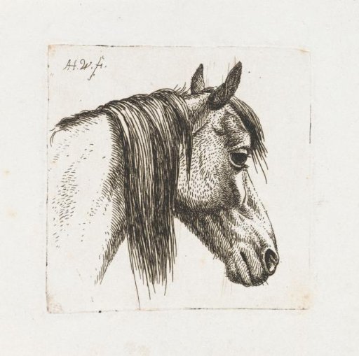 Horse's head to the right