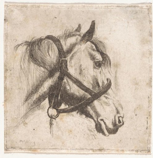 Horse's head with bridle