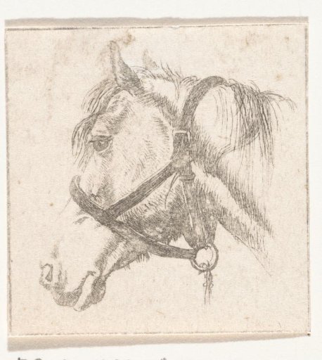 Horse's head with bridle
