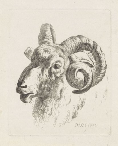 Ram's head to the left