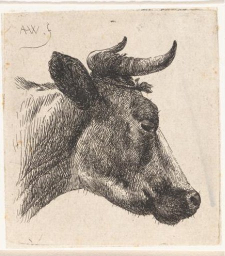 Cow's head, turned to the right