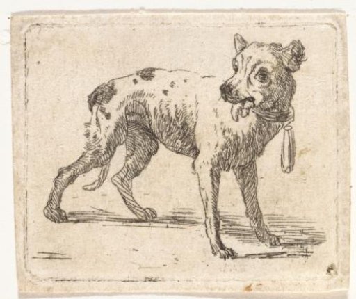 Standing dog with tongue out