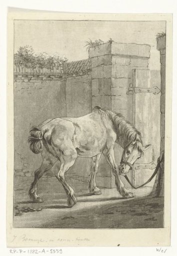 A Horse Tied to a Post