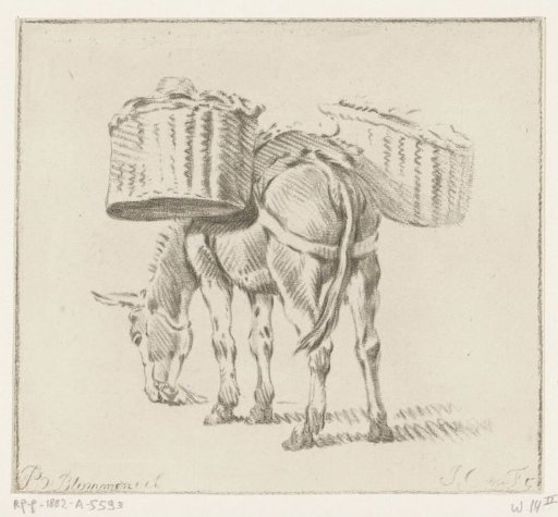 Loaded donkey