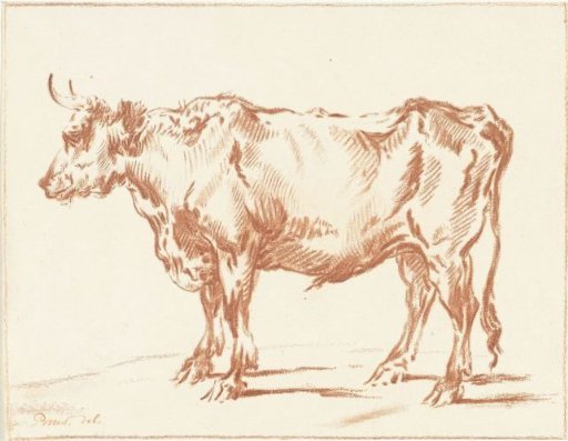 Standing ox