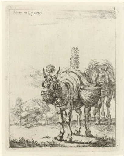 Two Pack Mules