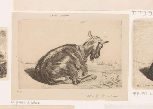 Reclining goat