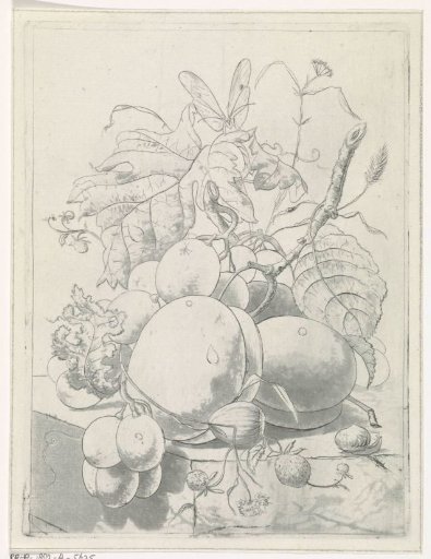 Fruits, branches and a butterfly on a table
