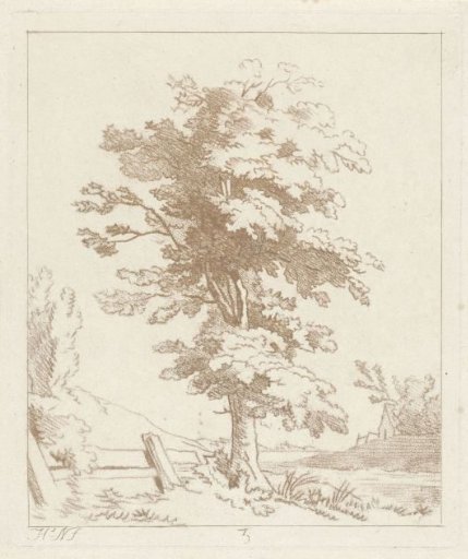Tree in a landscape