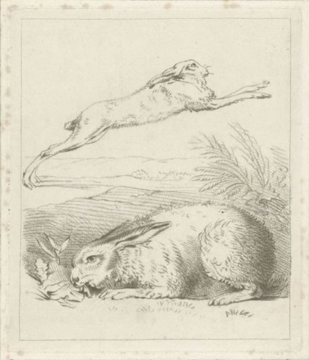 Hare and rabbit