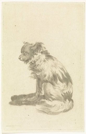 Dog with a collar with bells