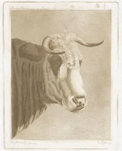Cock's head