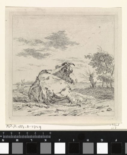 Landscape with a Lying Cow