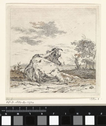 Landscape with a Lying Cow