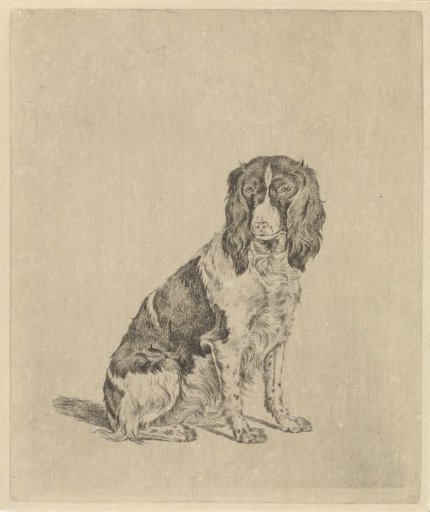 Sitting partridge dog