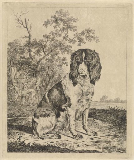 Sitting Partridge Dog