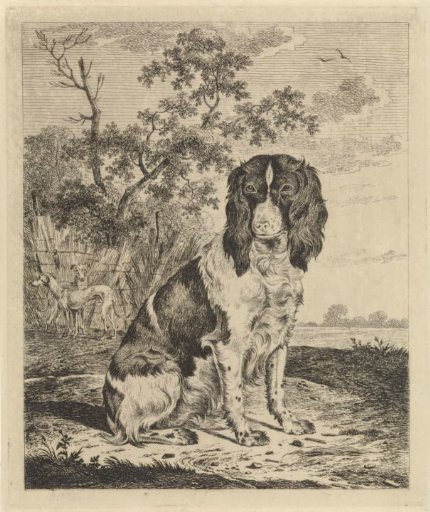 Sitting Partridge Dog