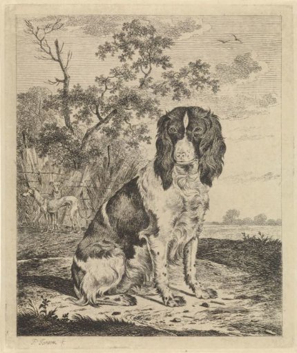 Sitting Partridge Dog