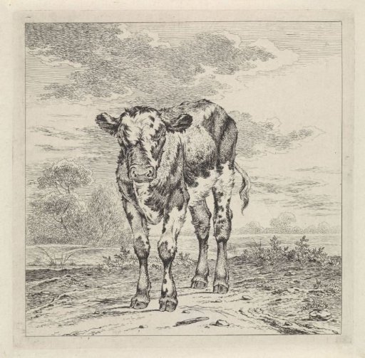 Landscape with a Calf