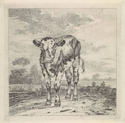 Landscape with a Calf