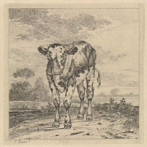 Landscape with a Calf
