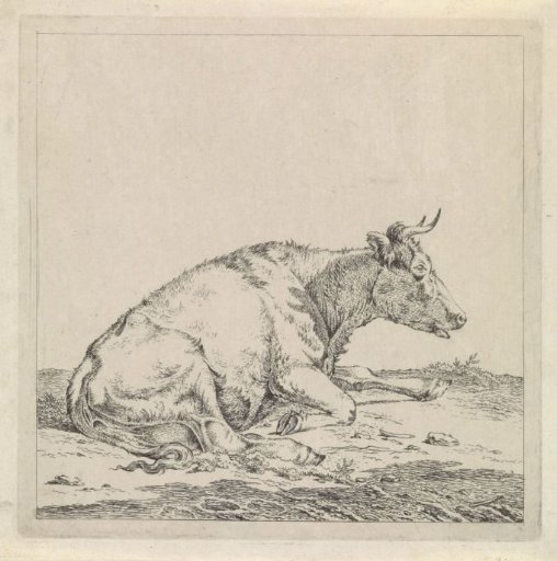 Lying Cow, Facing Right