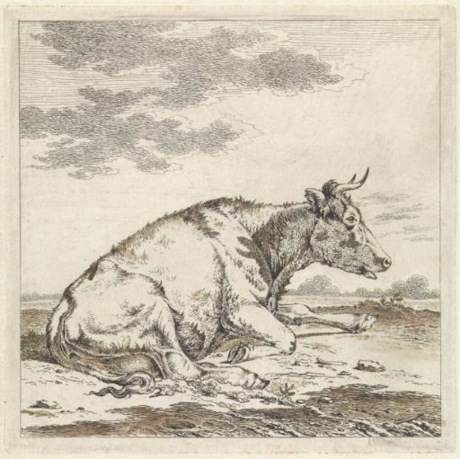 Lying Cow, Facing Right