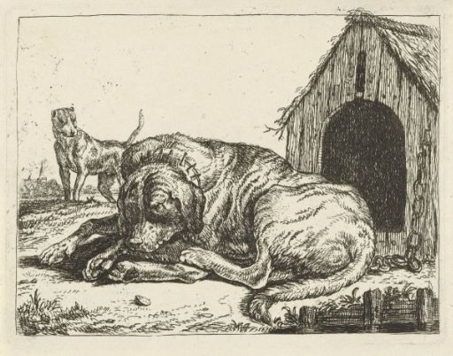 Reclining Dog on a Leash